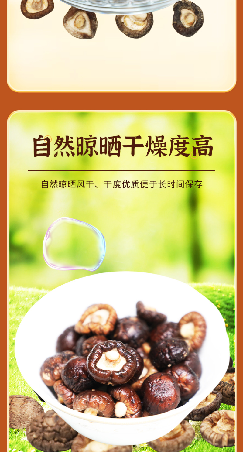 【热卖】南召珍珠菇颜色纯正天然自然烘干产地直发
