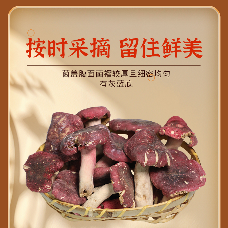 【热卖】南召精品红菇颗颗精选营养鲜美肉质鲜嫩产地直发