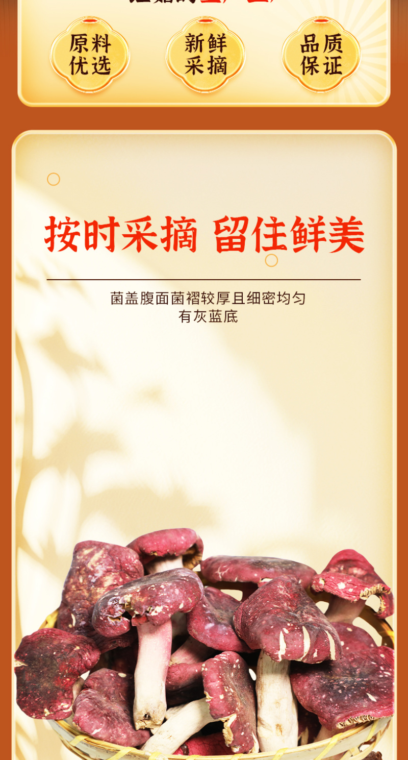 【热卖】南召精品红菇颗颗精选营养鲜美肉质鲜嫩产地直发