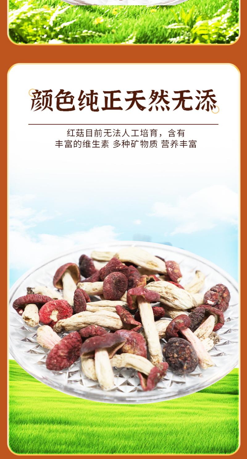 【热卖】南召精品红菇颗颗精选营养鲜美肉质鲜嫩产地直发