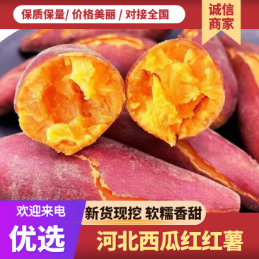 【精选】河北廊坊西瓜红红薯基地直供量大价优欢迎咨询看货