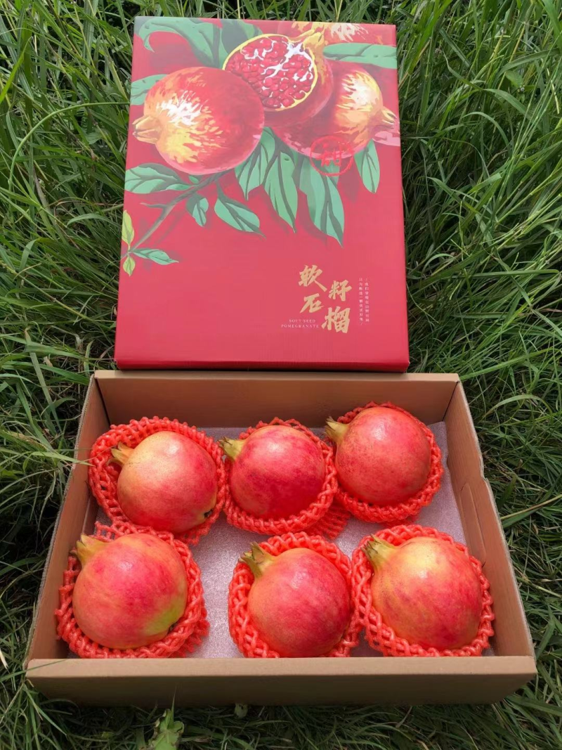 【颗粒大水分足】红石榴规格齐全四川发货视频看货
