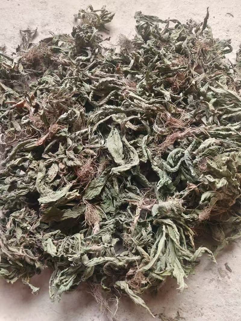 广西地胆草干货中药材无硫品质优可视频看货欢迎咨询