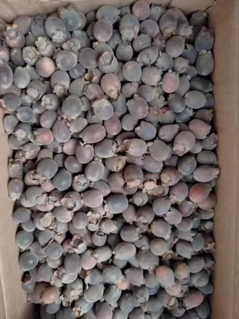 广西熟稔子（三蒸晒）基地直供品质优中药材可视频看货