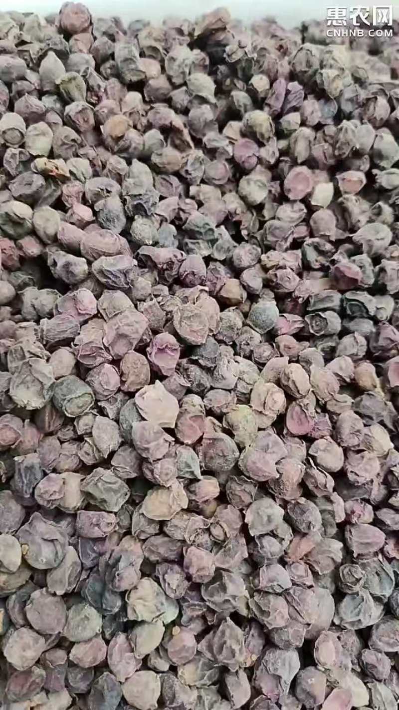 广西熟稔子（三蒸晒）基地直供品质优中药材可视频看货