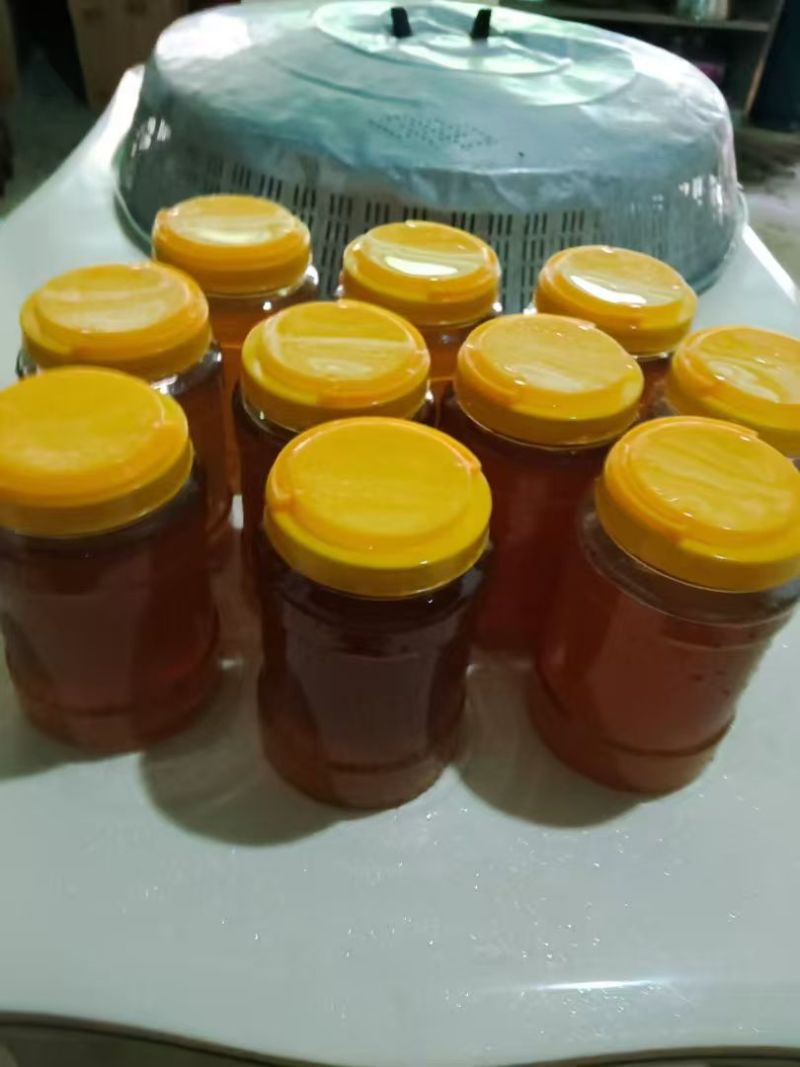 蜂蜜【百花蜜】云南蜂蜜，支持视频看货，可发往全国市场！