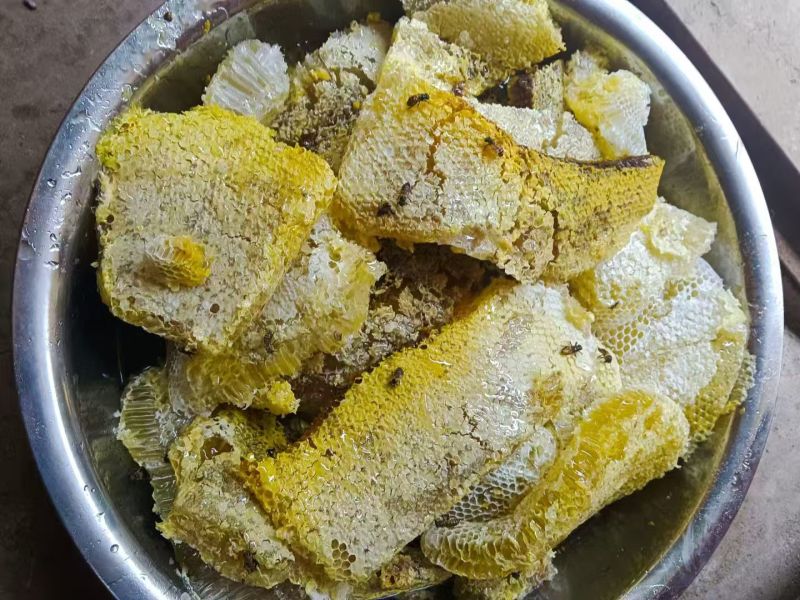 蜂蜜【百花蜜】云南蜂蜜，支持视频看货，可发往全国市场！