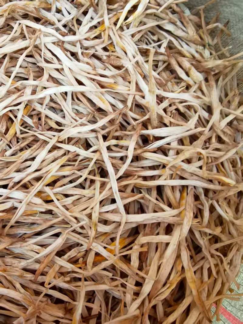 【黄花菜】大荔原品黄花菜袋装箱装都有产地直发量大从
