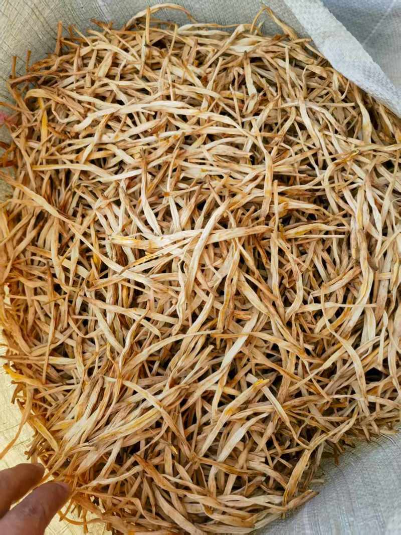 【黄花菜】甘肃黄花菜混菜原品菜袋装箱装都可代发全国