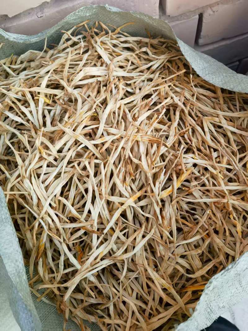 【黄花菜】甘肃黄花菜混菜原品菜袋装箱装都可代发全国
