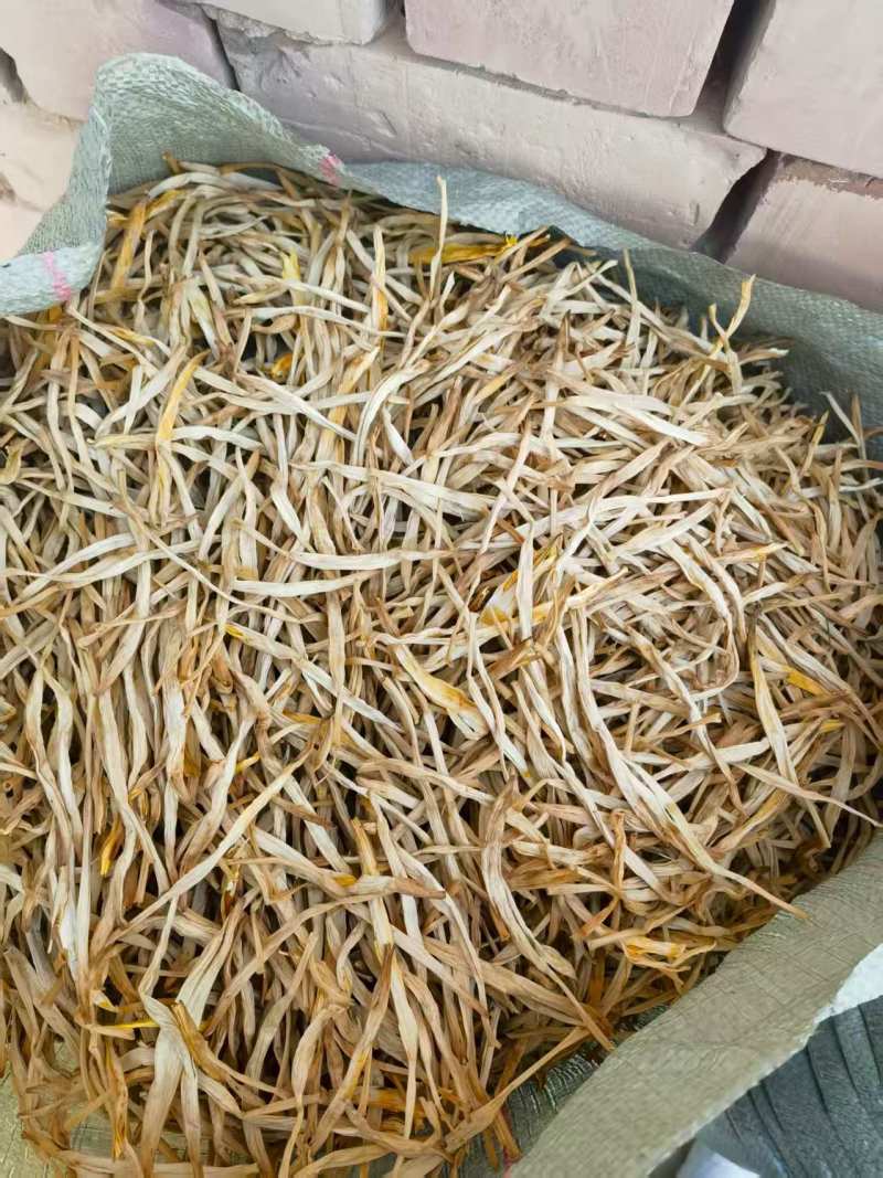 【黄花菜】甘肃黄花菜混菜原品菜袋装箱装都可代发全国