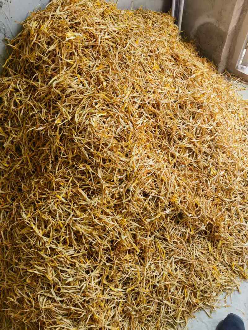 【黄花菜】甘肃黄花菜混菜原品菜袋装箱装都可代发全国