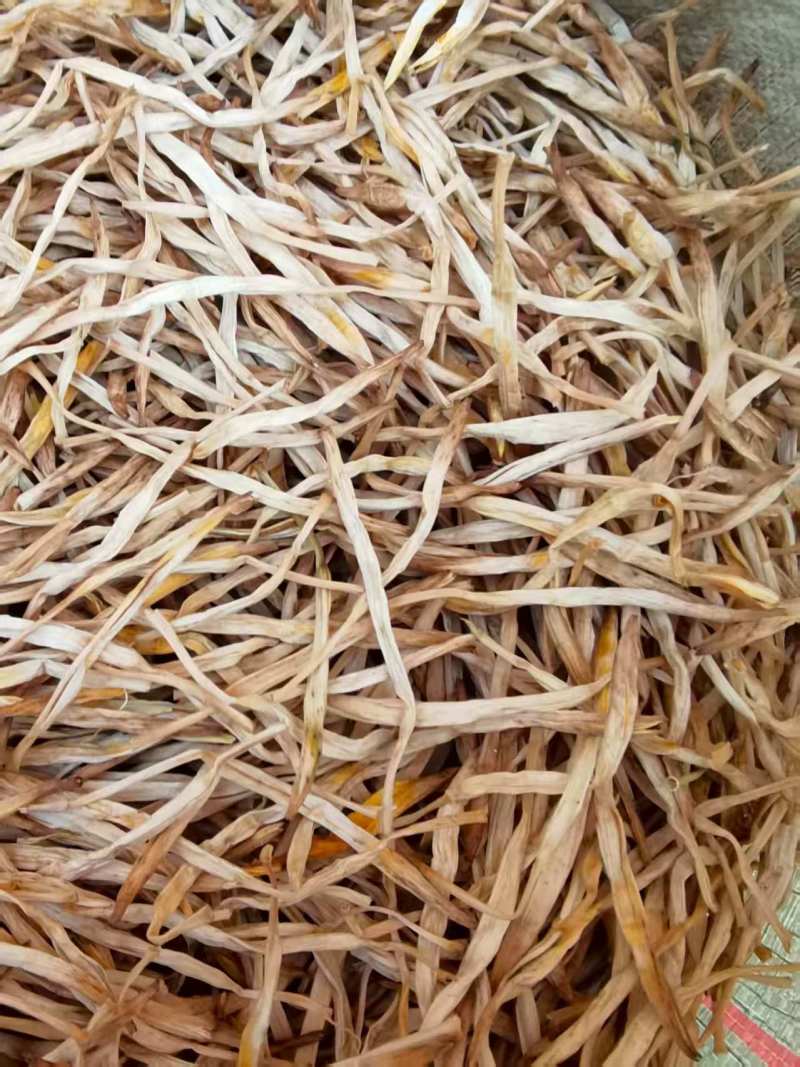 【黄花菜】甘肃黄花菜混菜原品菜袋装箱装都可代发全国
