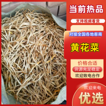 宁夏大白条黄花菜精品黄花菜大量供应代发全国市场电商