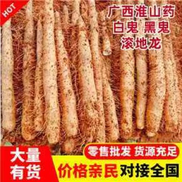 《淮山药》广西淮山药/白鬼黑鬼淮山药/产地货源全国供应