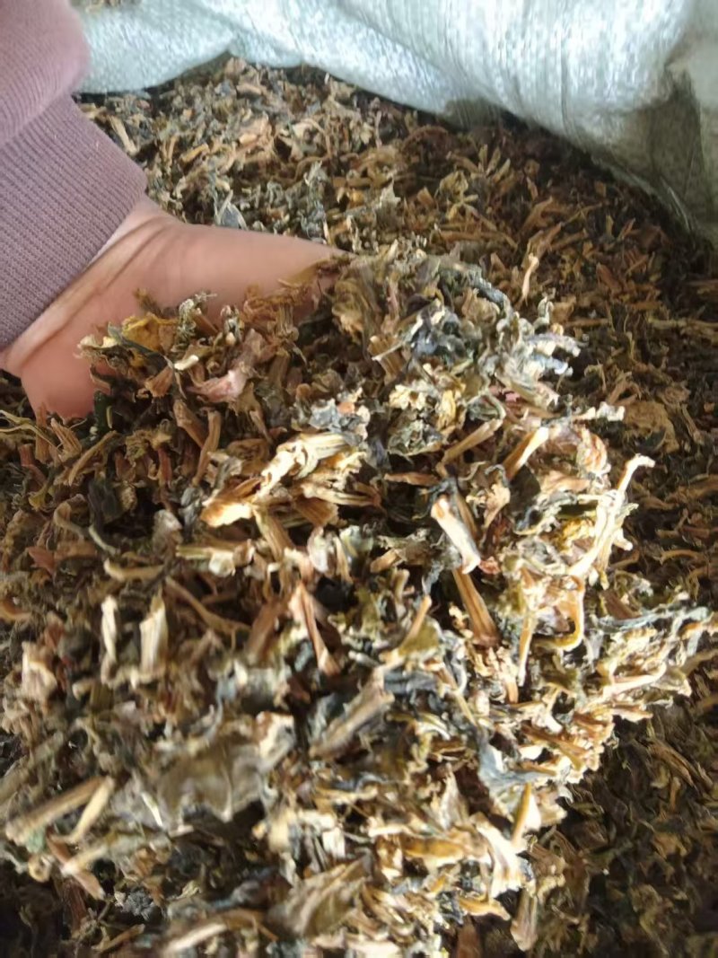 【厂家直供】梅干菜常年稳定供应现货批发欢迎来电咨询