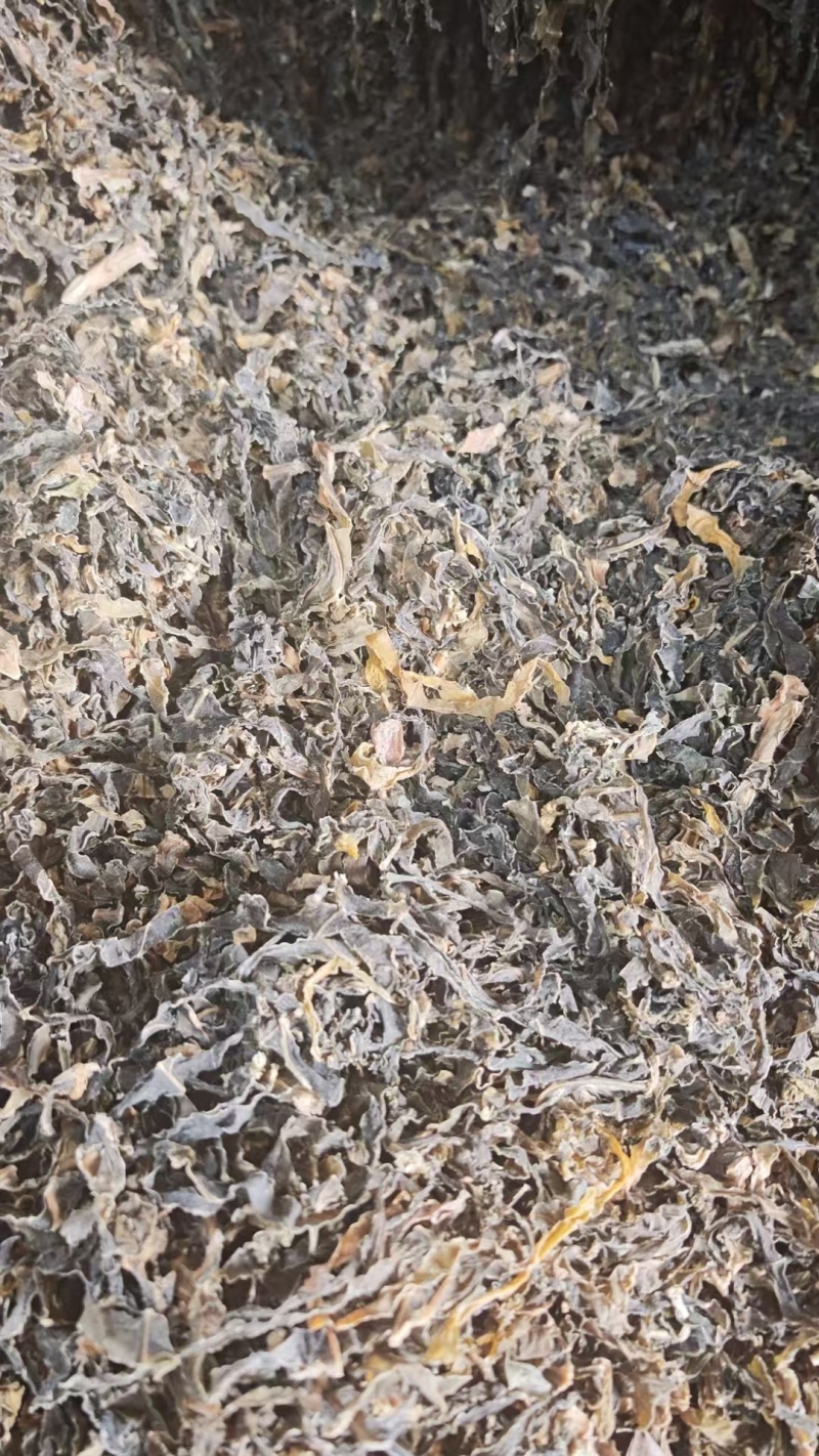 【常年供应】无沙梅干菜厂家批发量大价优欢迎咨询合作