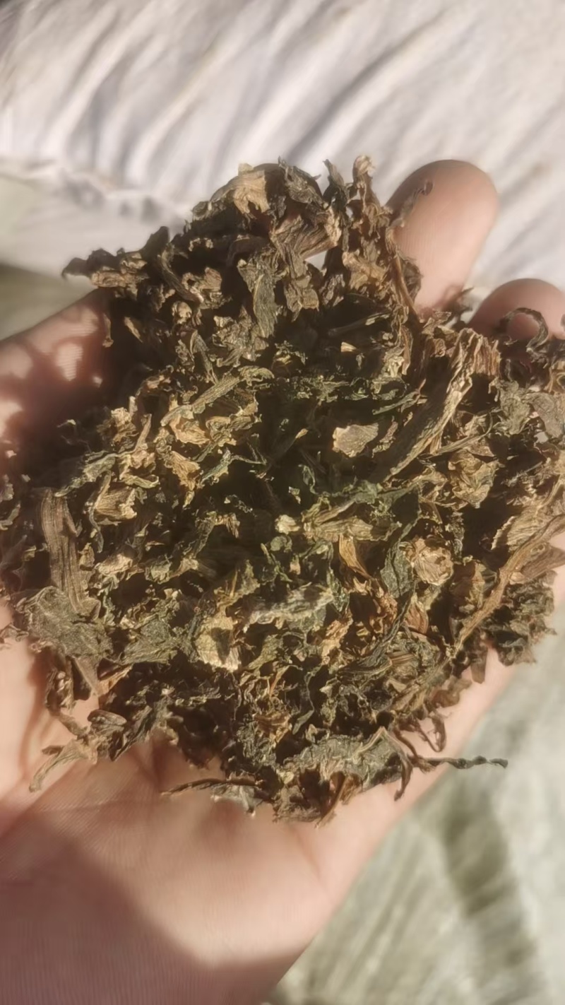 【厂家直供】梅干菜常年稳定供应现货批发欢迎来电咨询