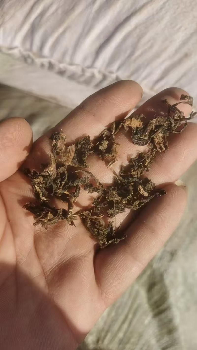 【厂家直供】梅干菜常年稳定供应现货批发欢迎来电咨询