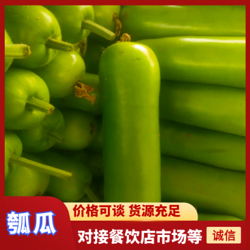 【热卖】瓠瓜瓜鲜无虫驻无伤斑色泽鲜绿口感好欢迎来电合作