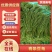 豆角长豆角60cm以上产地直发量大从优视频验货等您沟通