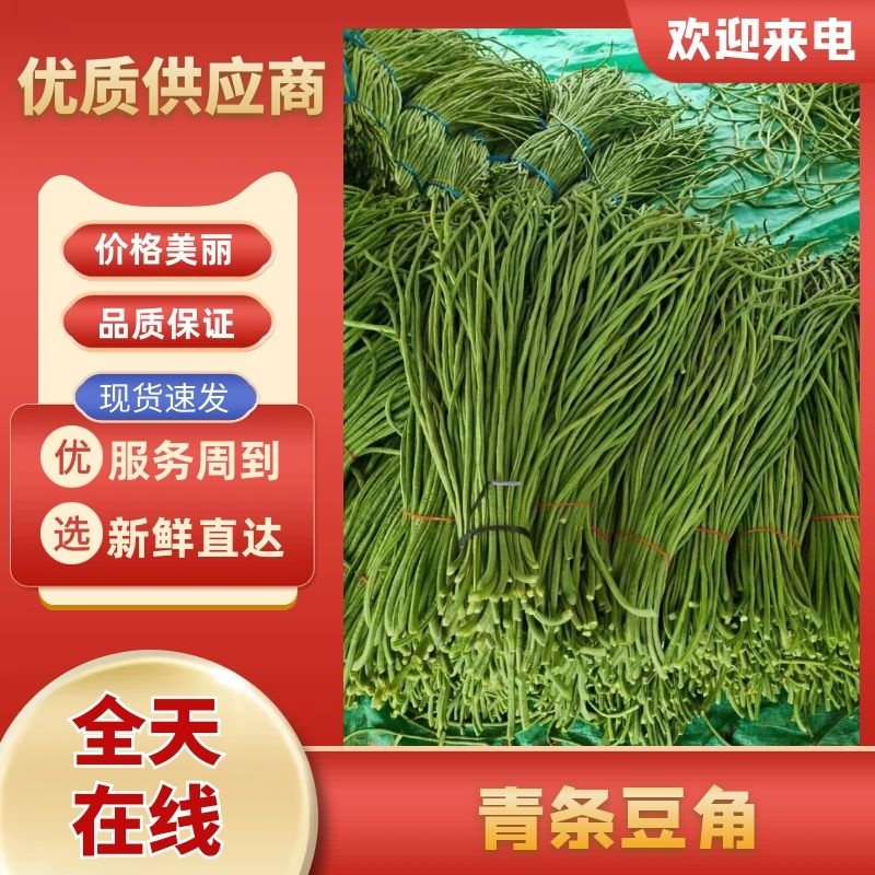 豆角长豆角60cm以上产地直发量大从优视频验货等您沟通