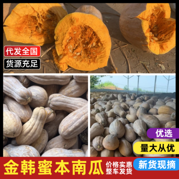 金韩蜜本南瓜老南瓜产地直发按需包装对接全国等
