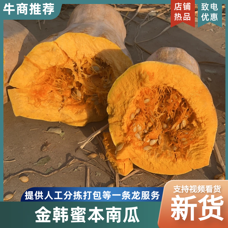 【推荐】金韩蜜本南瓜产地直发物美价廉按需选购
