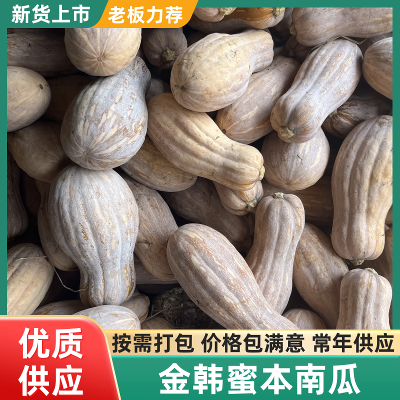 老南瓜湖北老南瓜湖北南瓜一手货源对接全国市场等