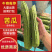 苦瓜翠绿对接批发市场超市电商诚信经营等您来电