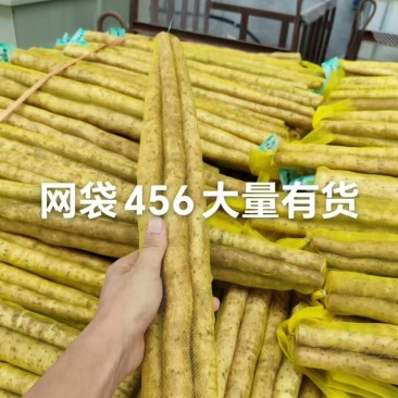 山药大量有货