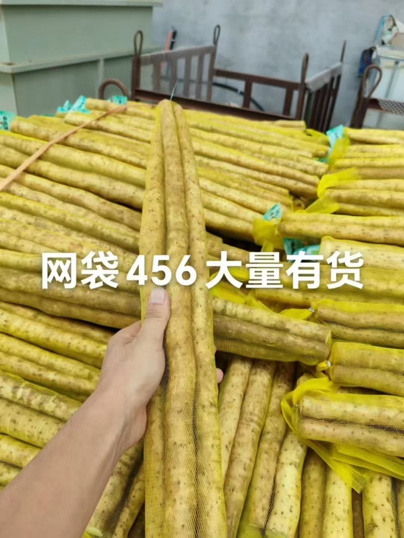 山药大量有货
