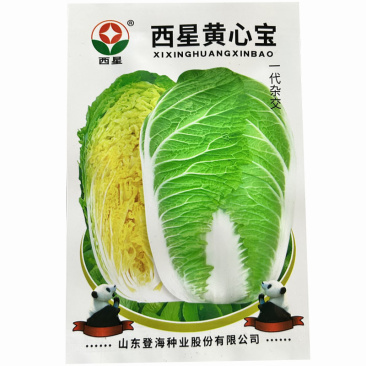 西星黄心宝大白菜种子10g杂交黄芯抗病耐寒秋季种