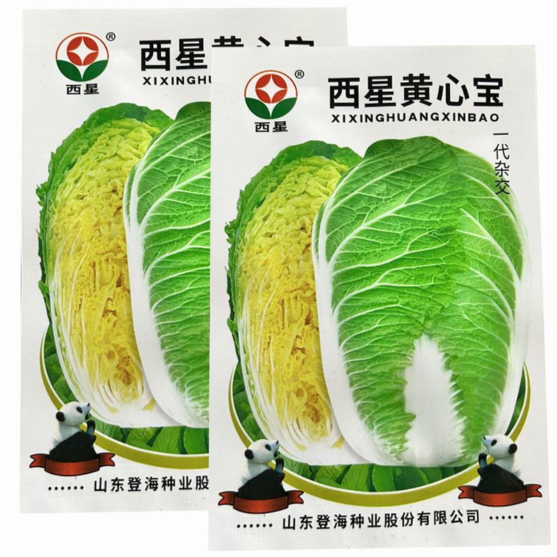 西星黄心宝大白菜种子10g杂交黄芯抗病耐寒秋季种
