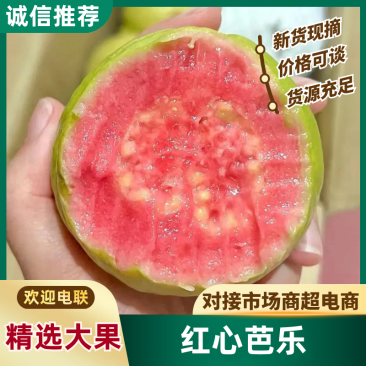 广东广西番石榴（芭乐）红心白心货源稳定，常年供应，可一件