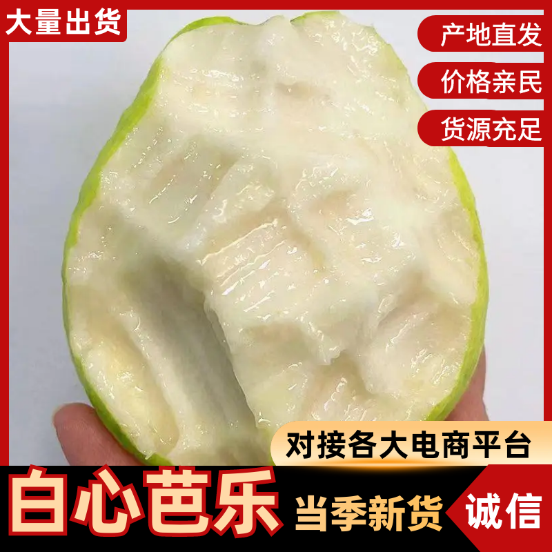 芭乐，红白心支持一件代发
