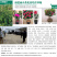 扁山茶花苗培育基地供货省:广东云南江西湖南贵州湖北45C