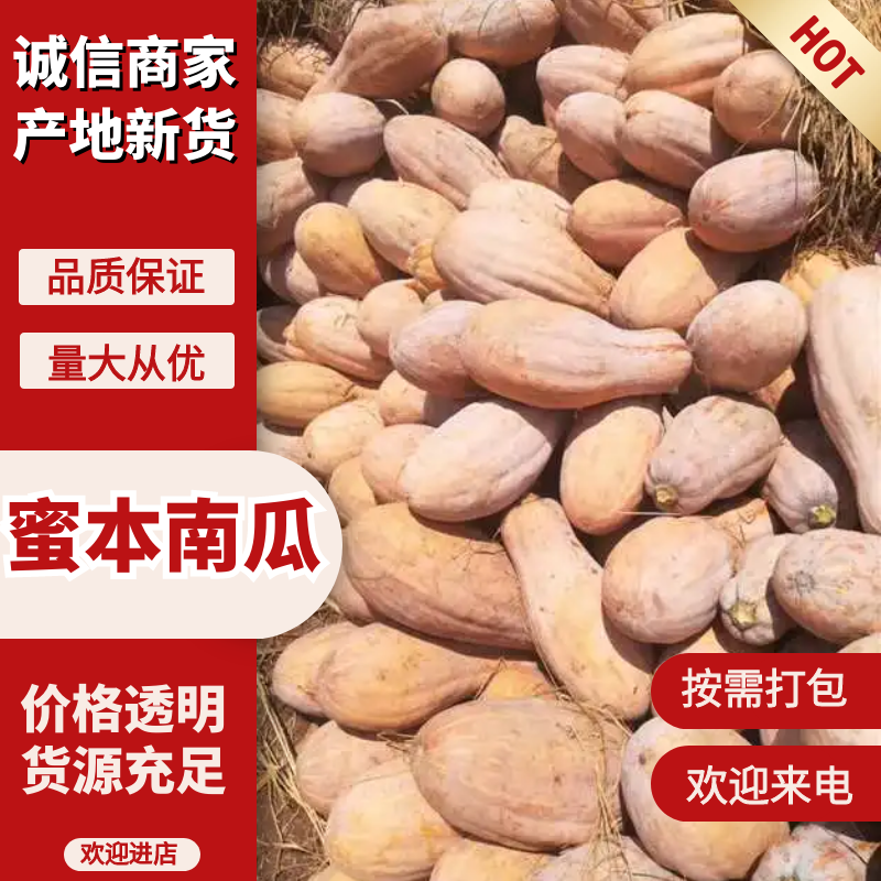【推荐】老南瓜湖北南瓜产地直发粉糯香甜量大优惠