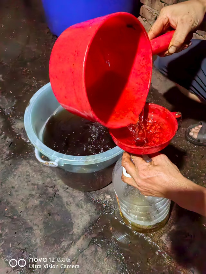 湖南胡椒油新鲜上市清香可口量大从优欢迎采购热卖中