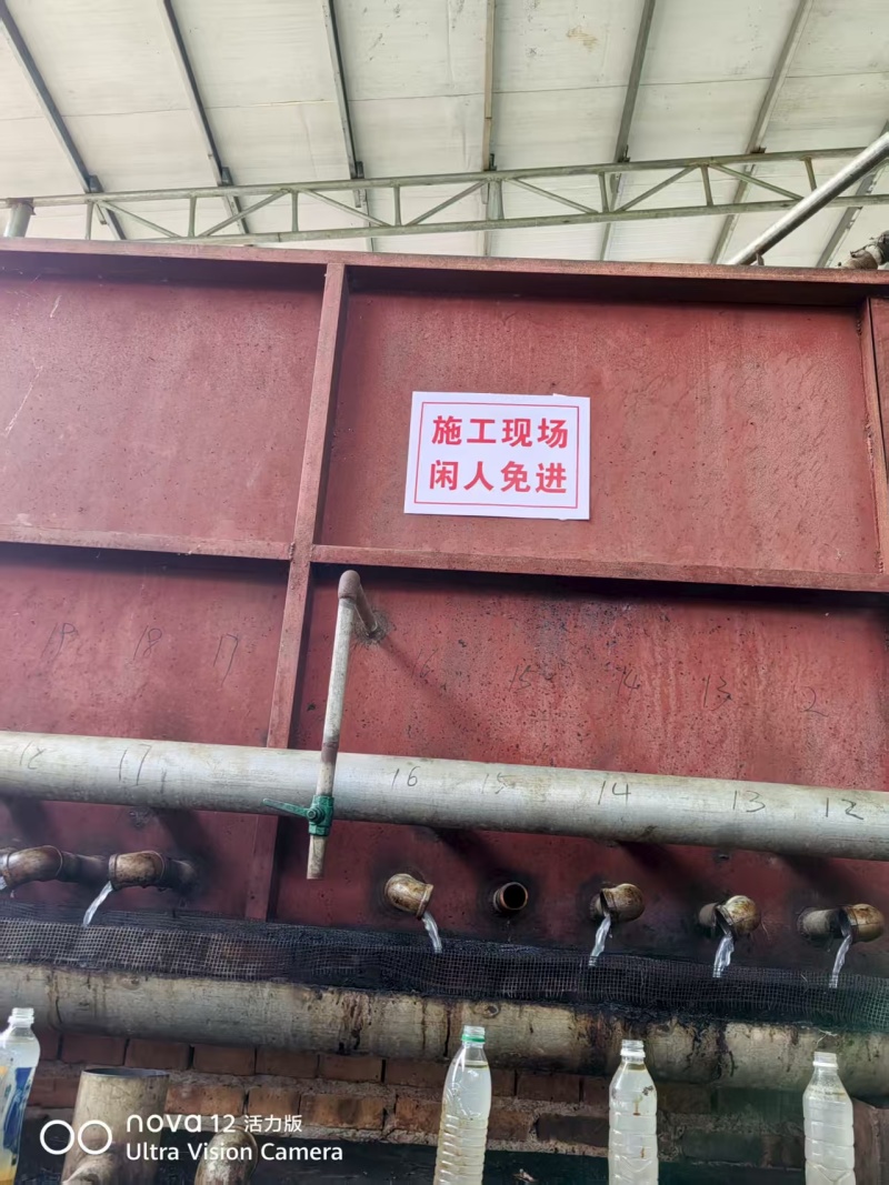 湖南胡椒油新鲜上市清香可口量大从优欢迎采购热卖中