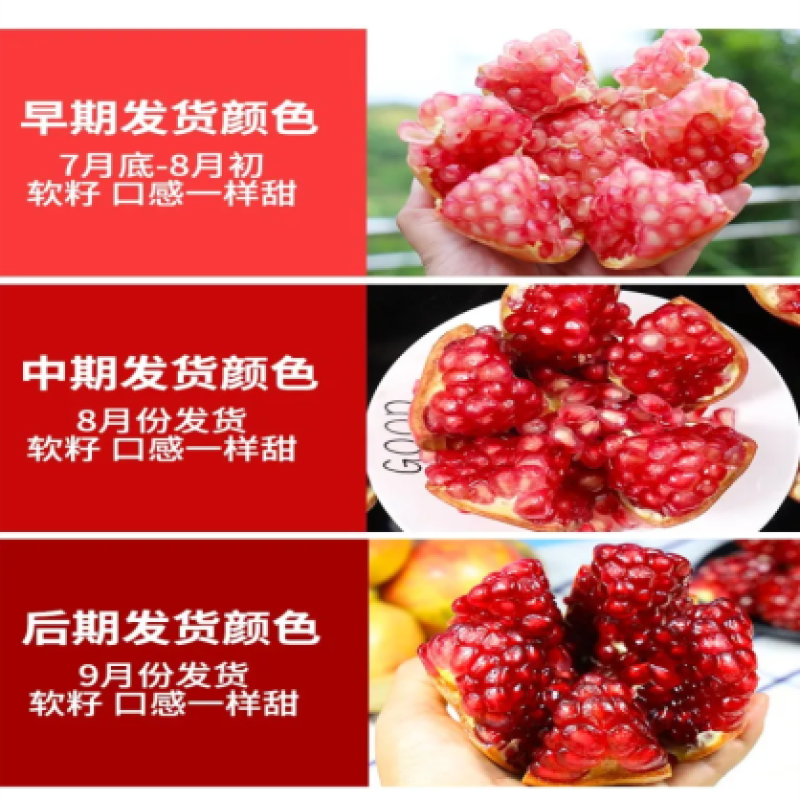 会理突尼斯软籽石榴电商平台一件代发保质保量