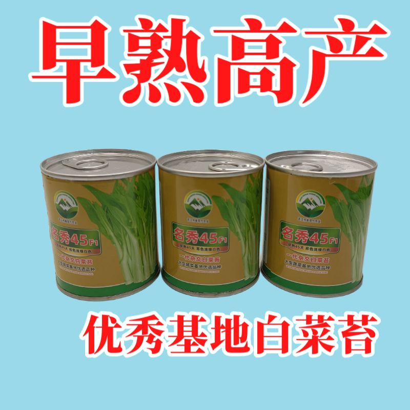 【名秀45】基地早熟灌装优良白菜苔种子多茬采收正品原装