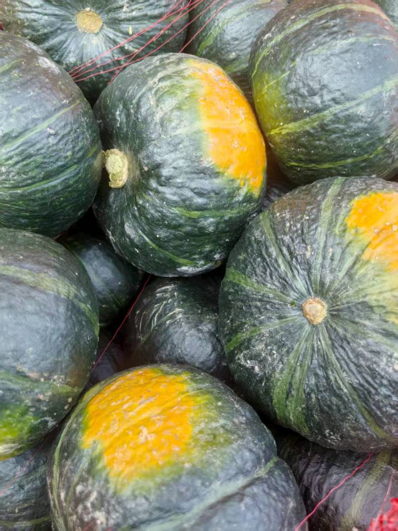 【贝贝南瓜】内蒙古产区货源充足可视频看货皮薄肉厚欢迎采购