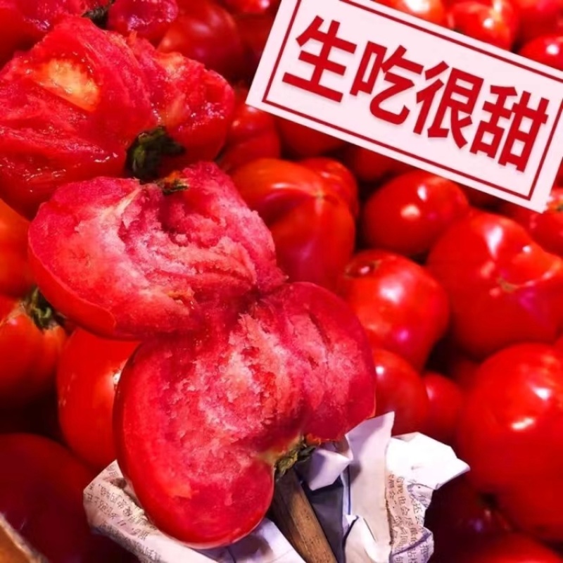 安徽普罗旺斯西红柿，品质高口感好价格低规格全，视频看货