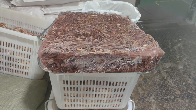 湖南冻品鱿鱼须鱿鱼头分割下来的二根触须处理干净做鱿鱼丸原材料