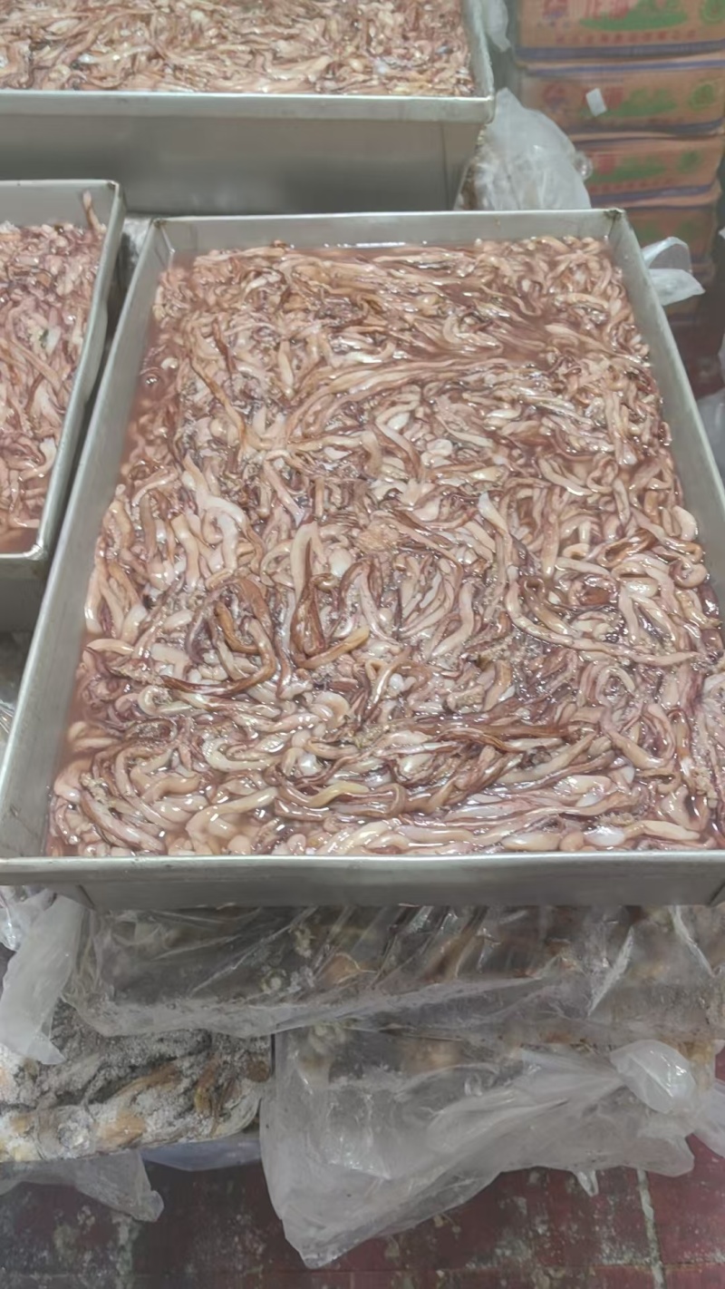 湖南冻品鱿鱼须鱿鱼头分割下来的二根触须处理干净做鱿鱼丸原材料
