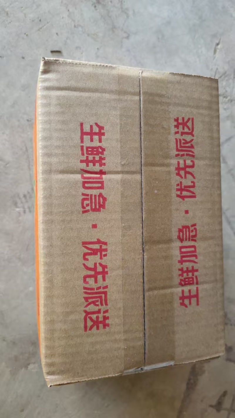带壳板栗25年新鲜板栗一件包邮栗子品质保障纸箱发货欢迎电联