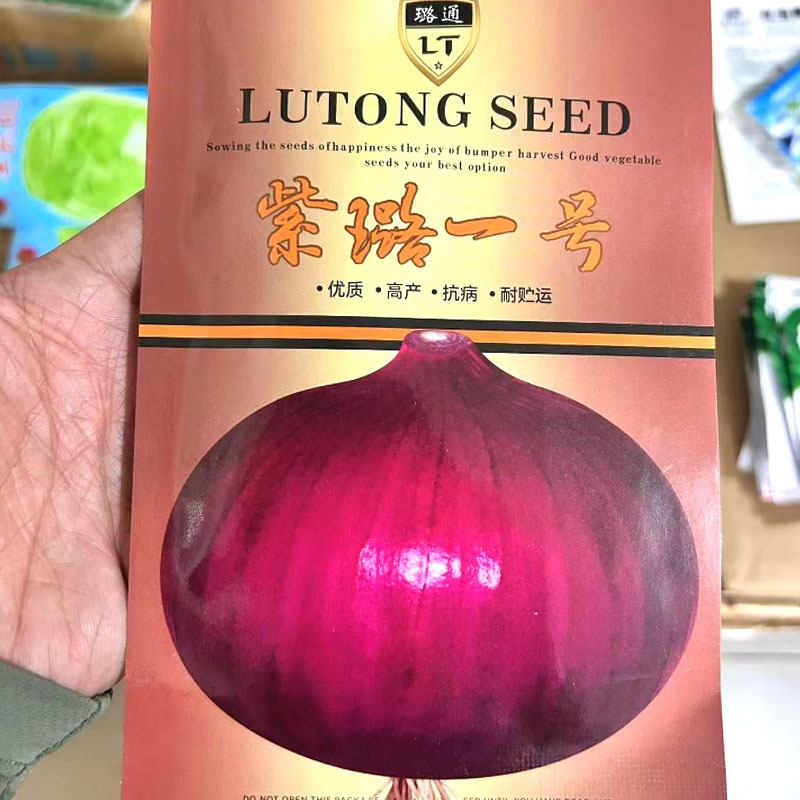 紫璐一号紫红皮洋葱种子中日照半高桩圆球形口感甜脆