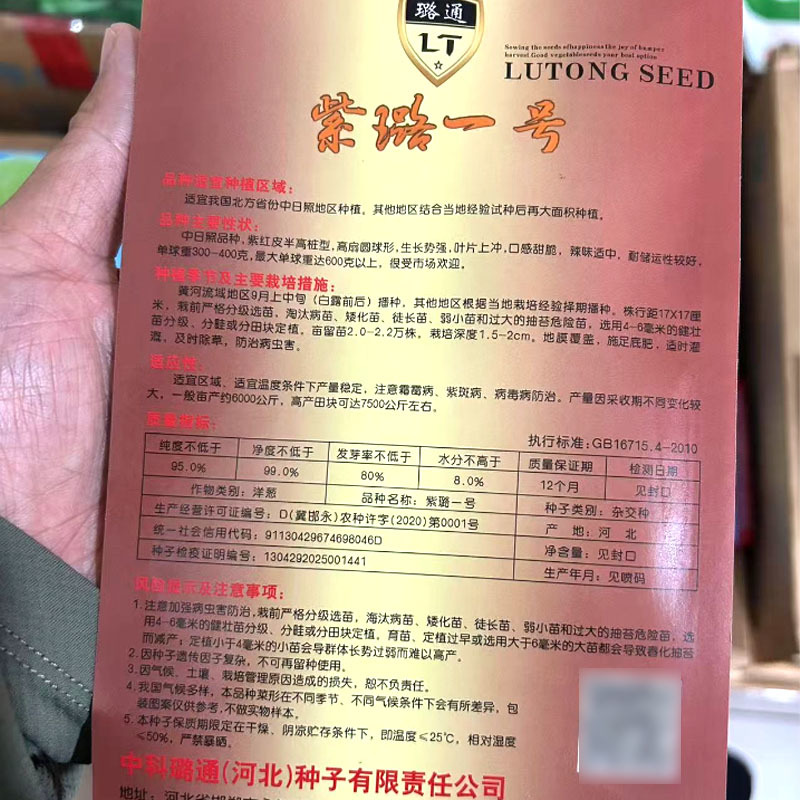 紫璐一号紫红皮洋葱种子中日照半高桩圆球形口感甜脆
