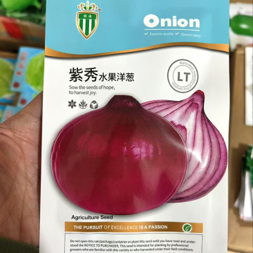 紫秀水果洋葱种子中日照中熟圆球形洋葱种子甜脆微辣球茎紧实
